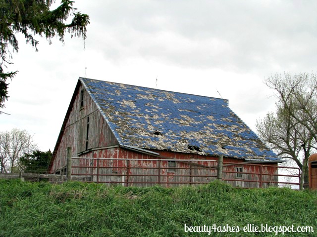 Blue Roof Farm