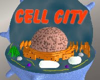 Cell Organelles Analogies City