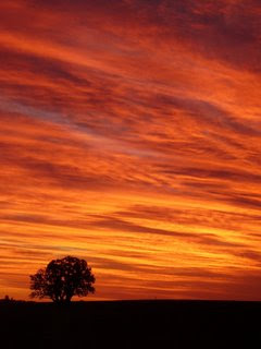 Cielo Naranja