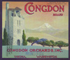 Congdon Castle History