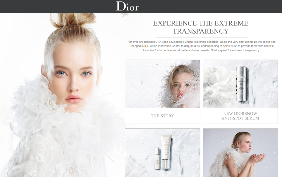 Dior Snow Model