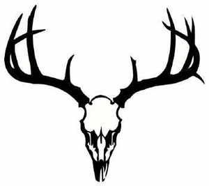 Draw Browning Deer Symbol