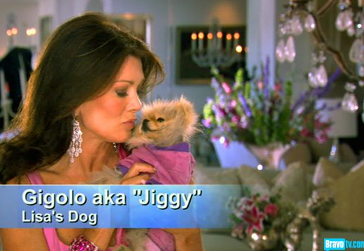 Jiggy The Dog From Real Housewives