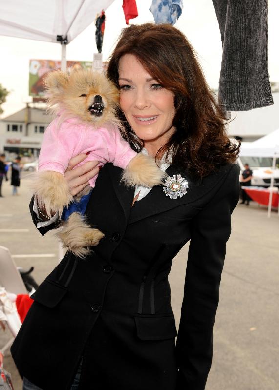 Jiggy The Dog From The Real Housewives Of Beverly Hills