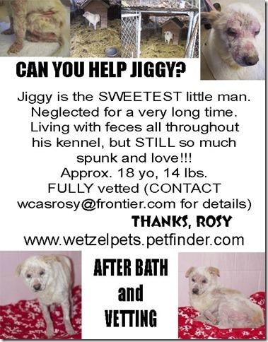 Jiggy The Dog Skin Condition