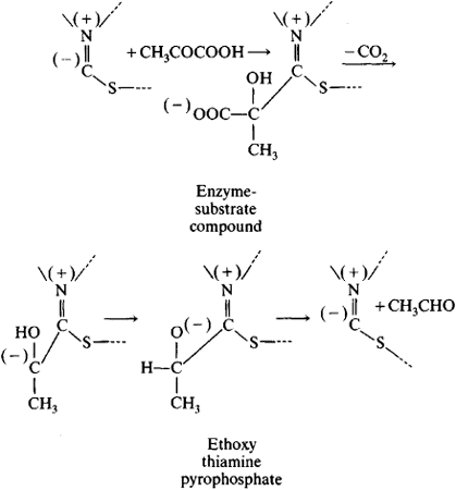 Ligase Enzyme Definition