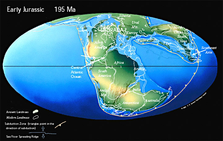 Pangea History