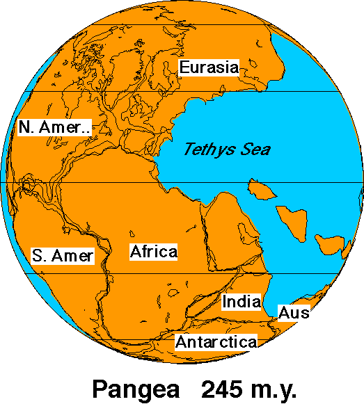 Pangea History