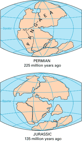 Pangea History