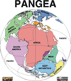 Pangea History