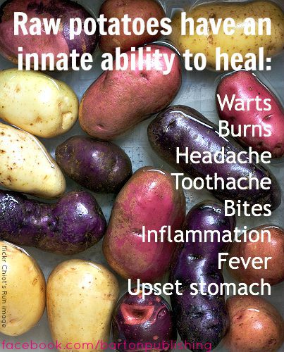 Potato Wart Remedy