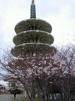 Sakura Festival Japantown Sf