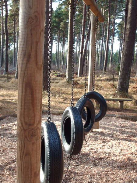 Woodlands Forest Swing